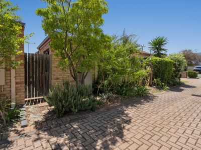 3 / 15 Ellam Street, St James