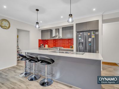 132 Debonair Pde, Craigieburn