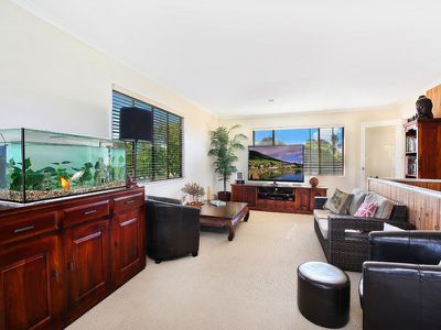 33 Oomoo Street, Buddina