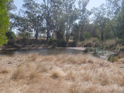 322 Mcauliffes Road, Kingaroy