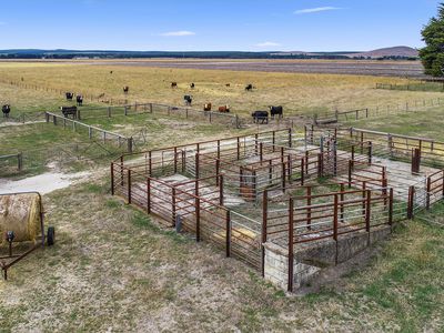 424 Sebastopol Springs Road, Millicent