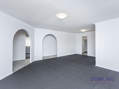 19 Hakea Parade, Medowie