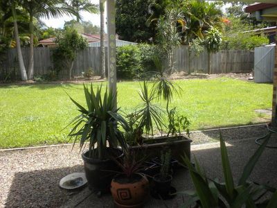 8 Gumnut Court, Tewantin