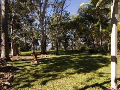 19 Morning Glory Dr, Tewantin