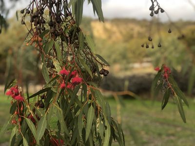 Lot 25, Mount Street, York