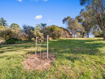 28B Ulm Street, Scullin