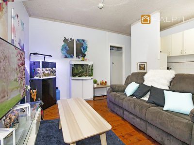 48 Cornelia Street, Wiley Park