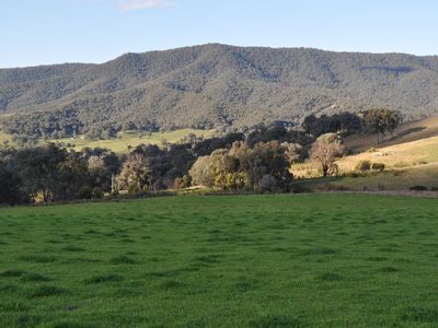 McClures Lane, Sandy Creek