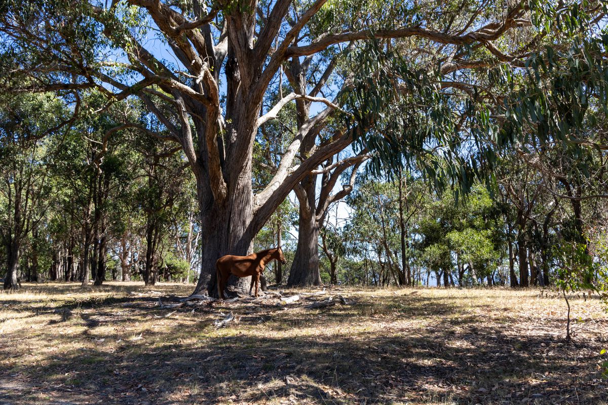 245 Old Highlands Road, Highlands