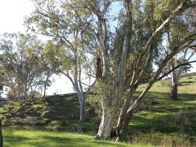 670 Spring Flat Road, Heathcote