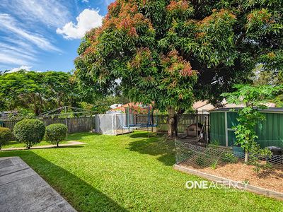 63 Abelia Street, Inala