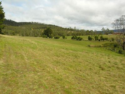 She Oak Road, Judbury