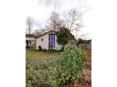 19 Freeburgh Avenue , Mount Beauty