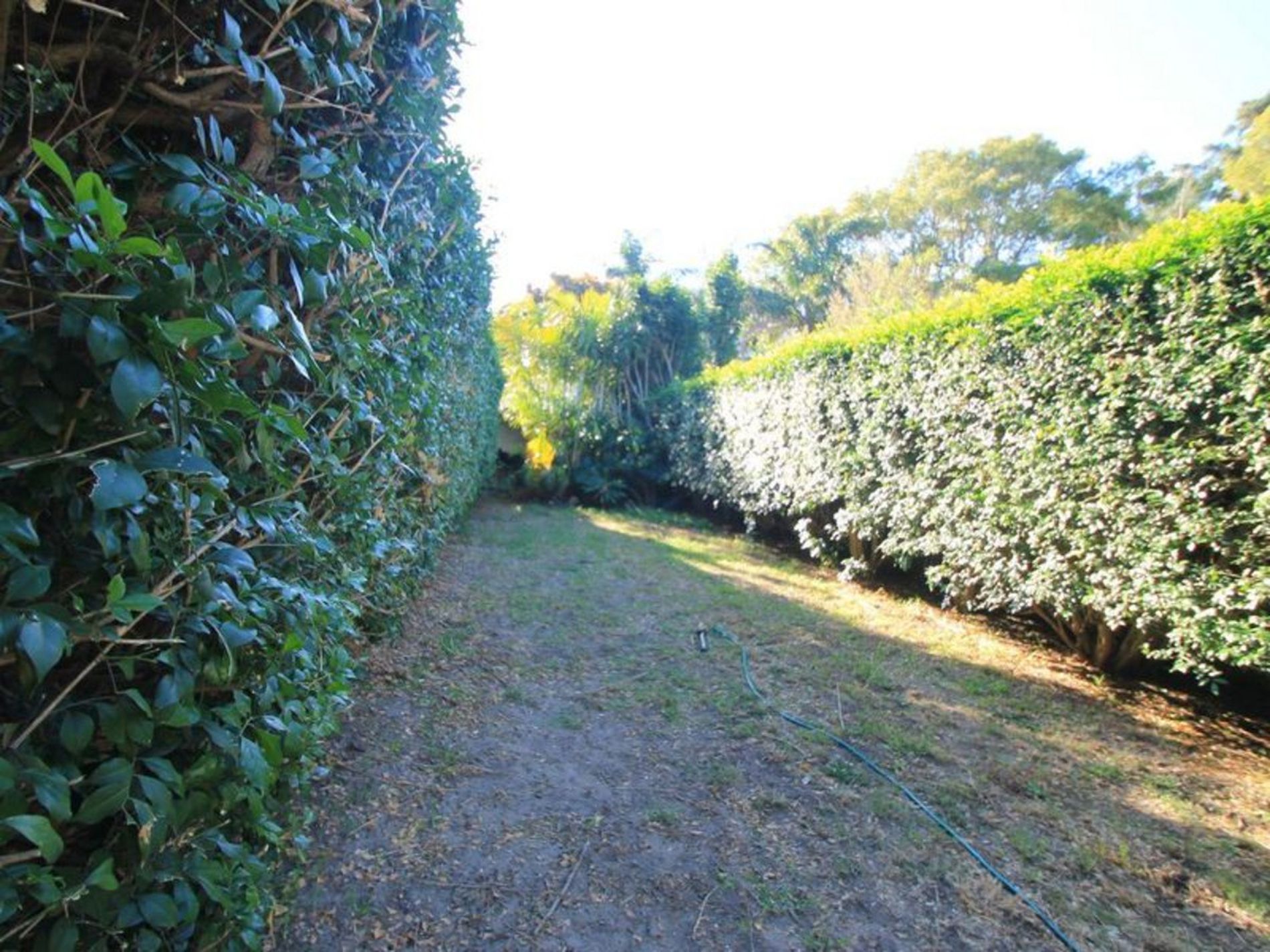 87 Hirst Street, Arncliffe