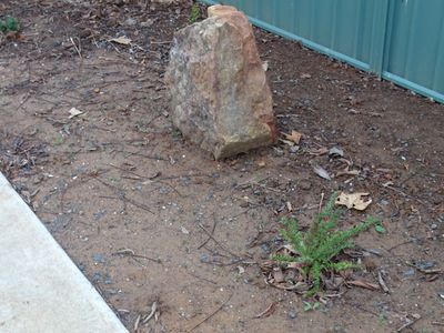 Lot 2, 244 High Street, Nagambie