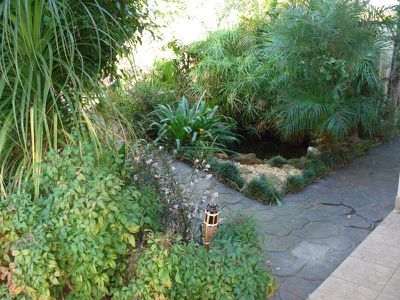 11 Joyce Street, Punchbowl