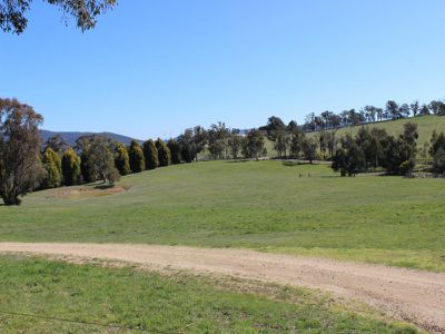 333 Curly Dick Road, Meadow Flat