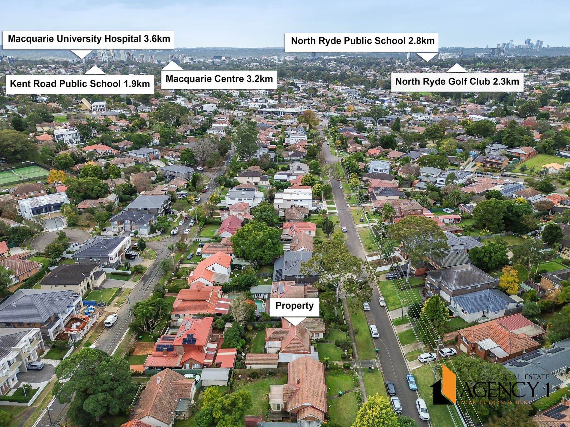 12 Cecil Street, Denistone East