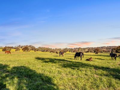 552 Upton Rd, Avenel