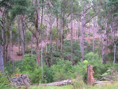 Lots Off Oakfords Road, Lower Wattle Grove