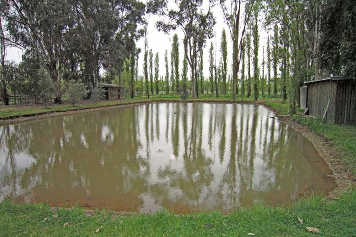 55 Howards Lane, Kyabram