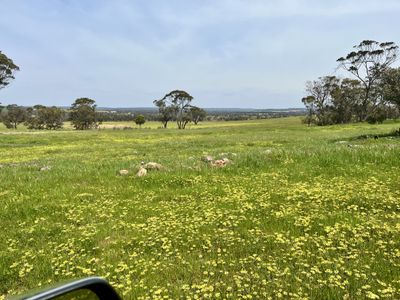 547 Bunmulling Road, Popanyinning