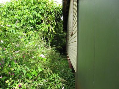 51 Herberton Rd, Atherton