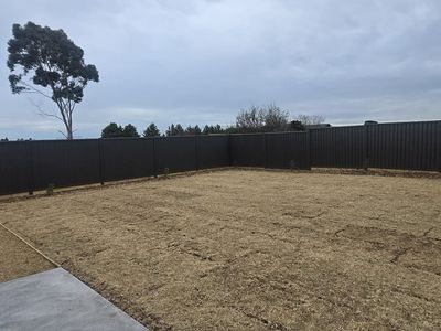 54 Kardinia Street, Bonshaw