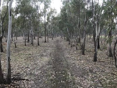 Riverside Homestead Colenso Park Road, Barham