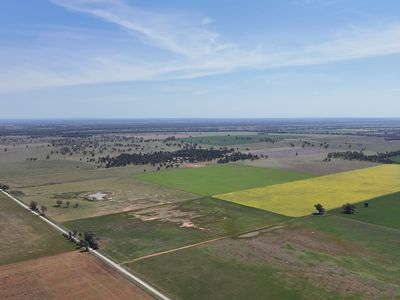 3166 Back Trundle Road, Parkes