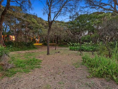 9 Marianne Avenue, Rye