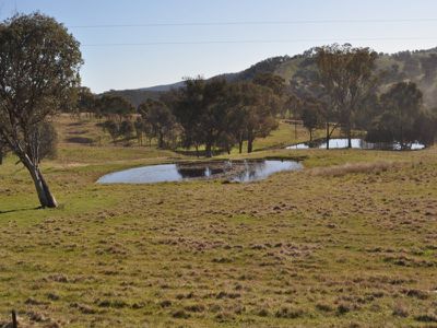 259 / Central Reserve Road, Ettamogah