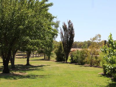 545 Troys Road, Wakool