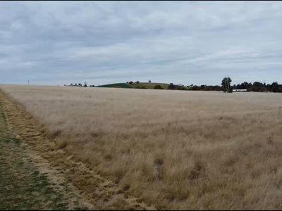 Lot 2, DP830071 Peak Hill Road, Parkes