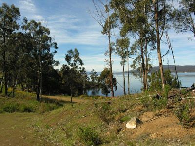 Lot 1 Cygnet Coast Road, Petcheys Bay