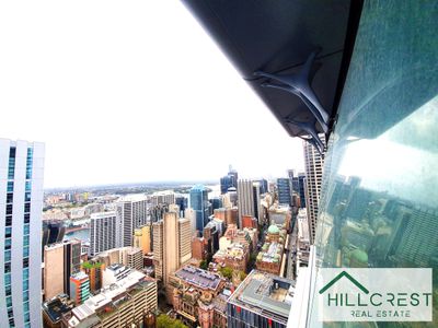 5008 / 115 Bathurst Street, Sydney