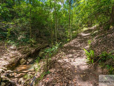 2210 Nimbin Road, Coffee Camp