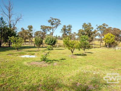 391 Carrot Farm Road, Deepwater