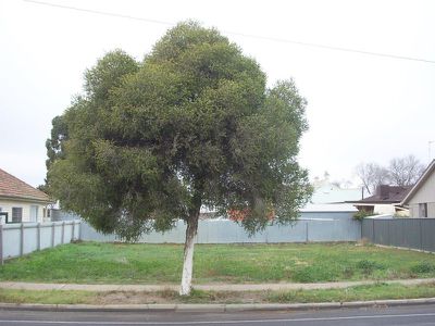 11A Urquhart Street, Horsham