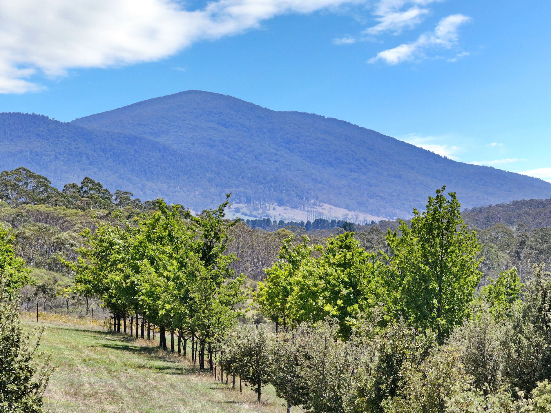 760 Wallaces Gap Road, Braidwood