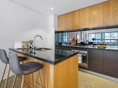 209 / 95 Dalmeny Avenue, Rosebery