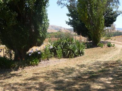 309 Tallangatta Creek Road, Tallangatta Valley
