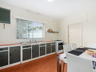 7 Whitelodge Road, Paradise