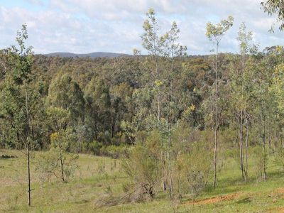 362 Dairy Flat Road, Heathcote