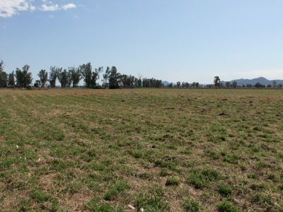 Lot 42 Orange Grove Road, Gunnedah