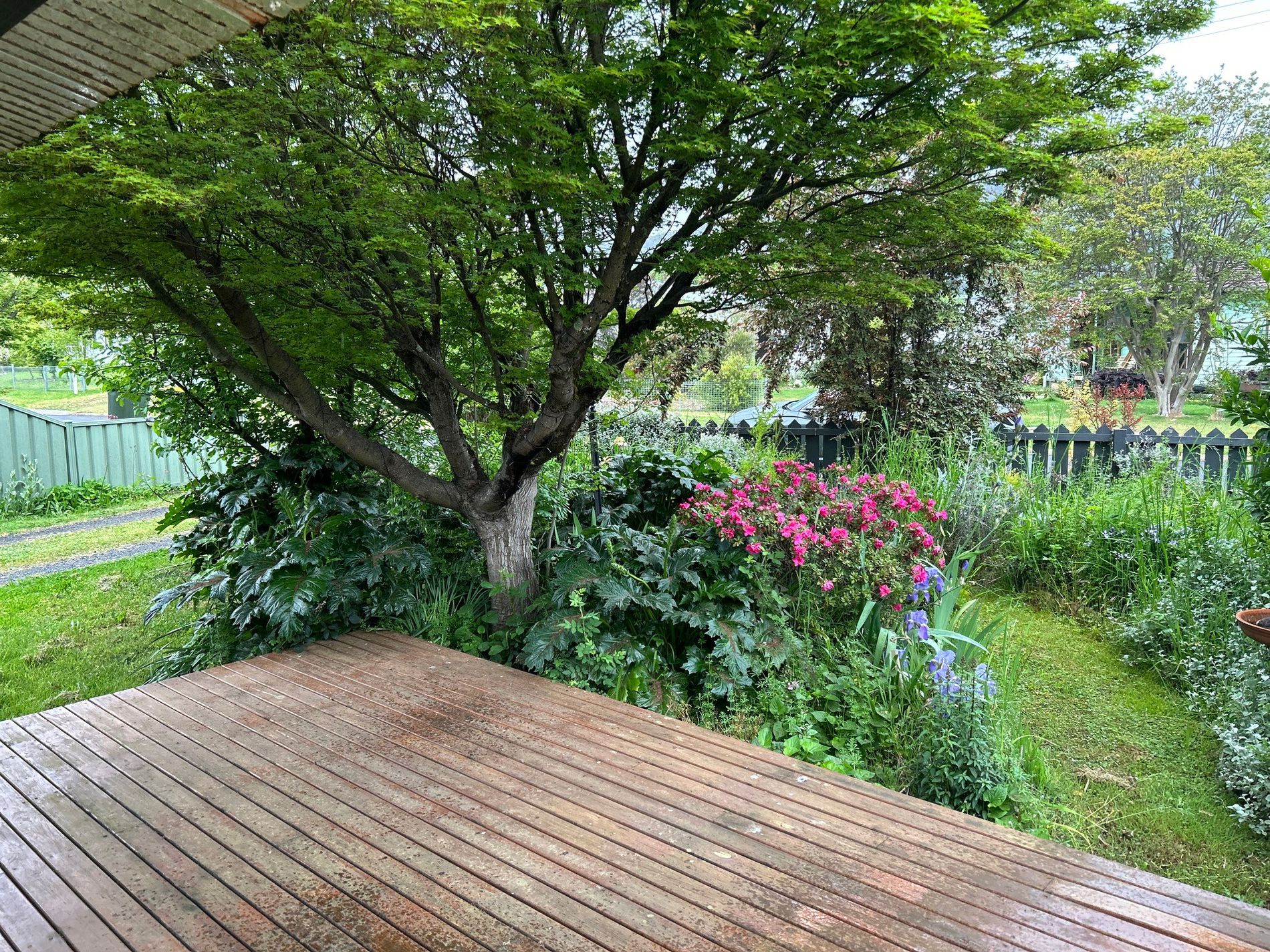 17 Freeburgh Avenue , Mount Beauty