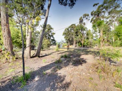 46 Cray Point Parade, Eggs And Bacon Bay
