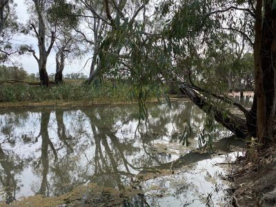 101 Glenview Drive, Barham