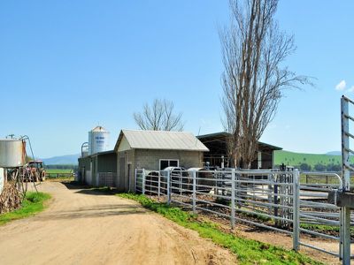 51 Welumba Creek Road, Greg Greg