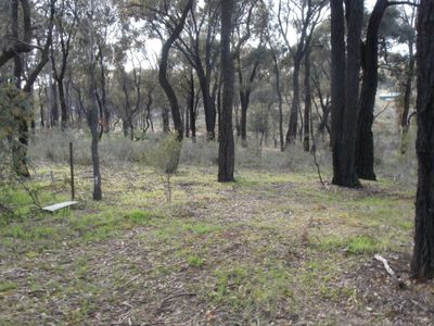 Lot 2  146 Loddon Valley Highway, Sailors Gully